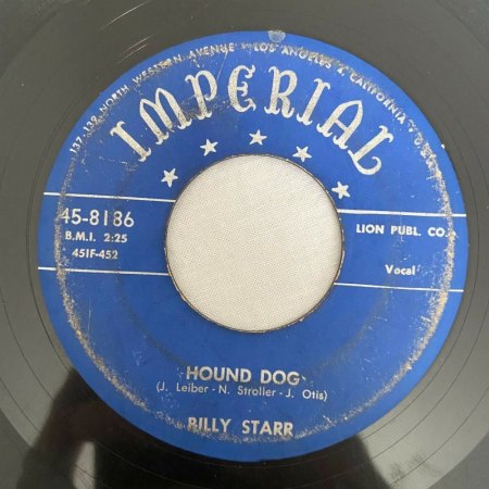 HOUND DOG
