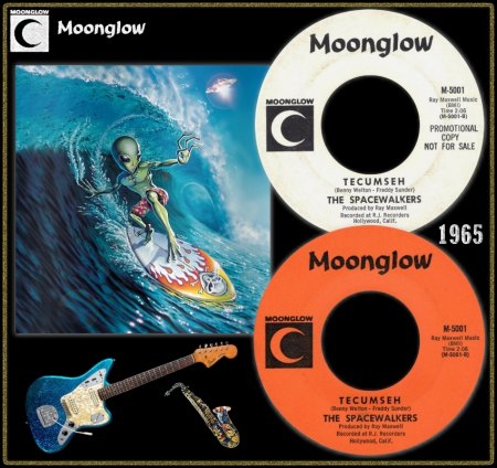 SPACEWALKERS - TECUMSEH