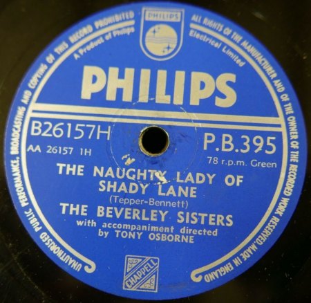 The NAUGHTY LADY OF SHADY LANE