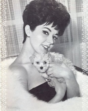 SUSAN MAUGHAN