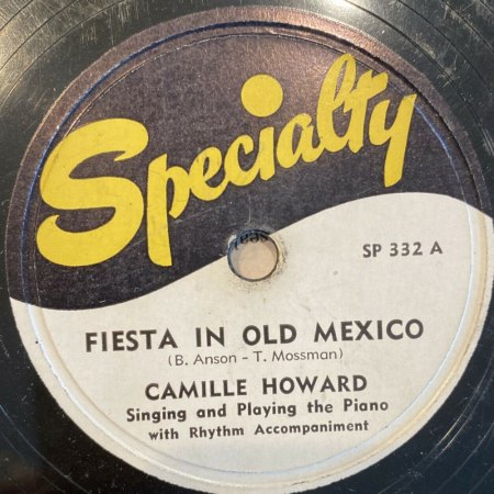 CAMILLE HOWARD