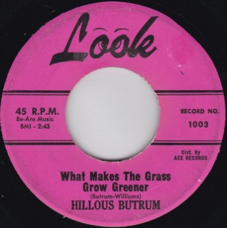 HILLOUS BUTRUM