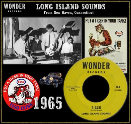 LONG ISLAND SOUNDS - TIGER