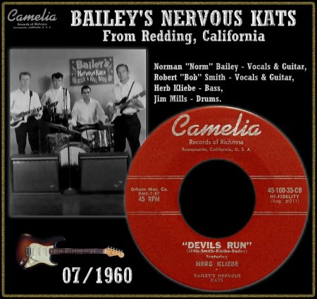 BAILEY'S NERVOUS KATS FEAT. HERB KLIEBE - DEVILS RUN