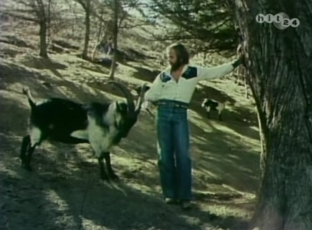 BEACH BOYS -verloren gegangene Beiträge