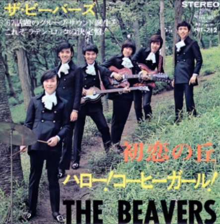The BEAVERS