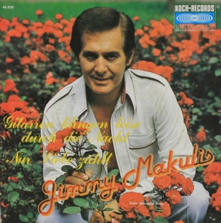 GITARREN KLINGEN LEISE DURCH DIE ... Original + Coverversion