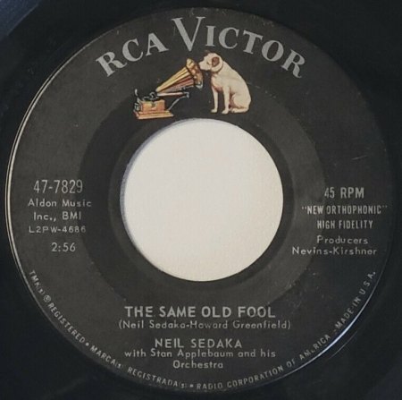 USA- und internationale Veröffentlichungen - Kurz-Bio