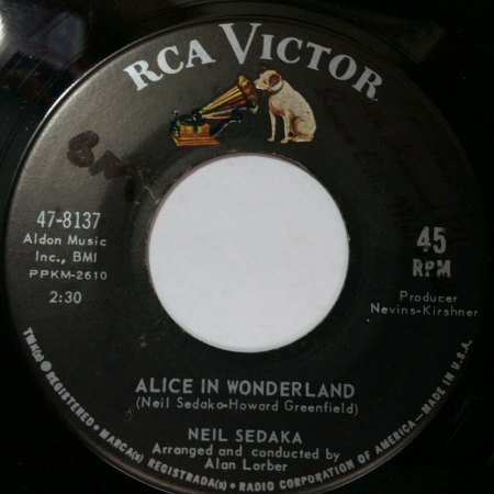 USA- und internationale Veröffentlichungen - Kurz-Bio