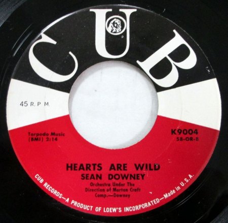 SEAN MORTON DOWNEY JR