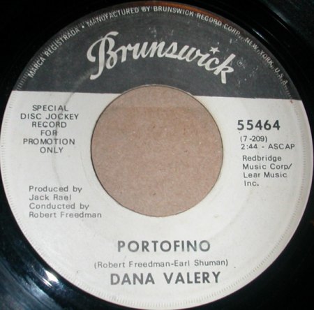 DANA VALERY