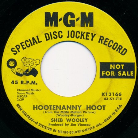 HOOTENANNY HOOT
