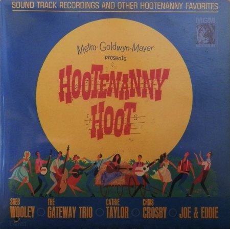 HOOTENANNY HOOT