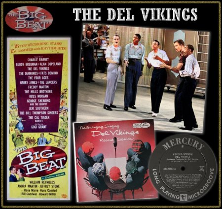 DEL-VIKINGS COLLAGEN