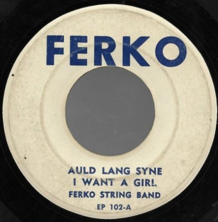 FERKO STRING BAND