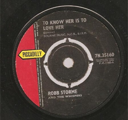 ROBB STORME