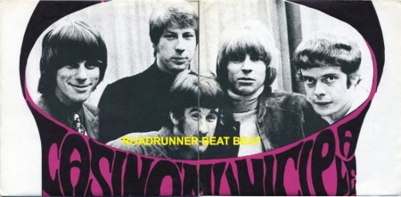 The YARDBIRDS