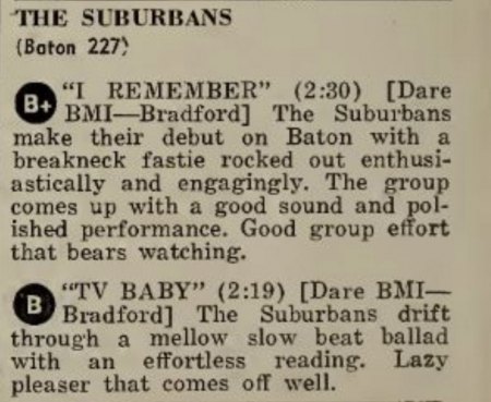 THE SUBURBANS
