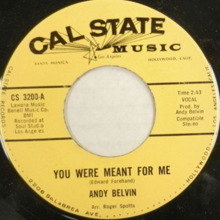 ANDY BELVIN