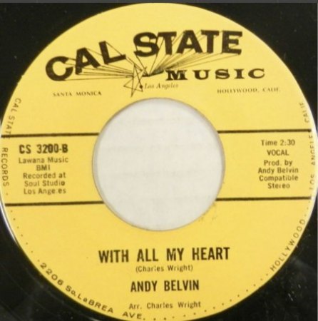 ANDY BELVIN