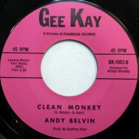 ANDY BELVIN