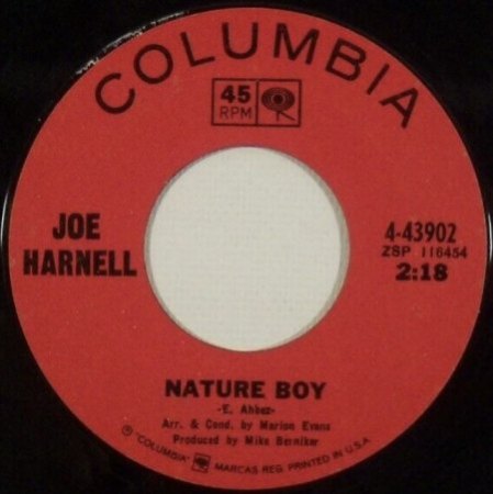 JOE HARNELL