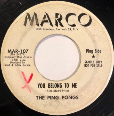 THE PING PONGS (USA)