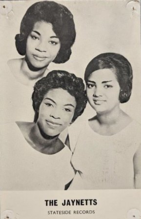 THE JAYNETTS