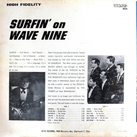 SURF - VARIOUS ARTISTS