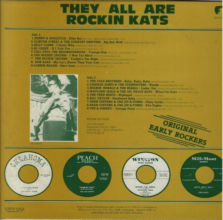 The ROCKIN' JESTERS