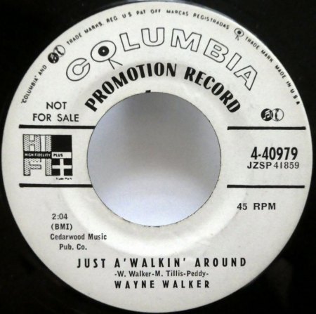 WAYNE WALKER