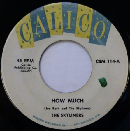SKYLINERS - weißer Doo-Wop