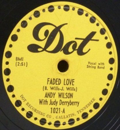 ANDY WILSON oder ANDY WILSON