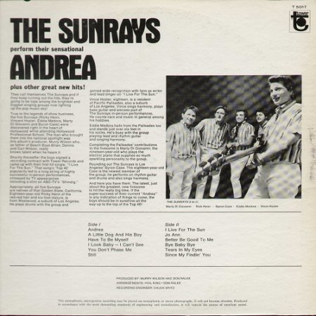 k-Sunrays T 5017 B.jpg