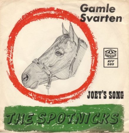 JOEY'S SONG