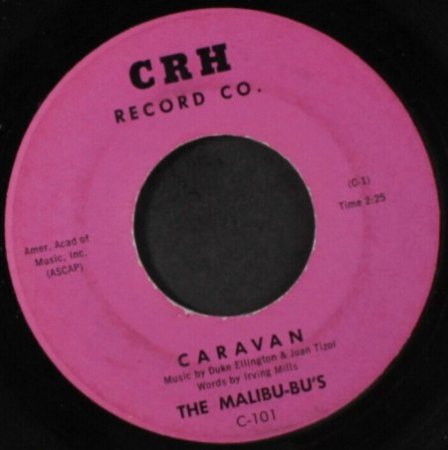 THE MALIBU-BU‘S