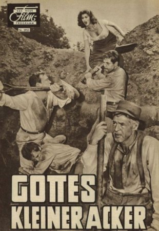 God‘s Little Acre