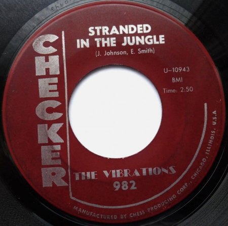 STRANDED IN THE JUNGLE