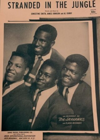 STRANDED IN THE JUNGLE