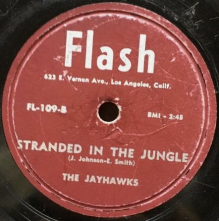 STRANDED IN THE JUNGLE