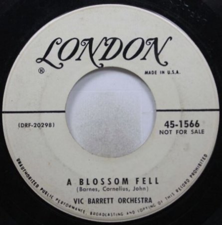 A Blossom Fell