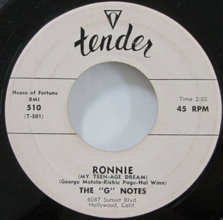G NOTES ("G"  Notes, G. Notes, Gino Sister, Ginos, Wardettes)