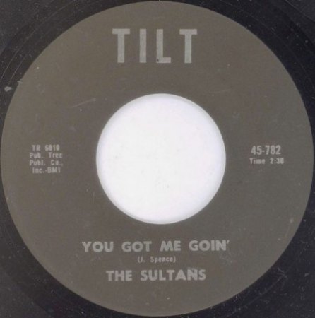 The SULTANS der Rocknroll-Ära