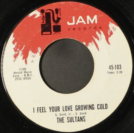 The SULTANS der Rocknroll-Ära
