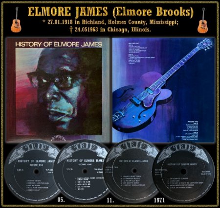 ELMORE JAMES - LPs