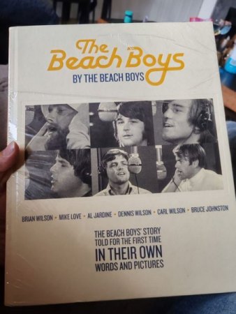 The Beach Boys by The Beach Boys