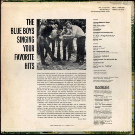 DIE BLUE BOYS