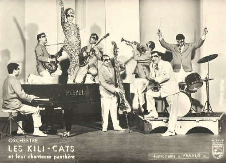 KILI-CATS