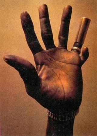 HOUND DOG TAYLOR