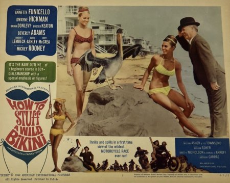 HOW TO STUFF A WILD BIKINI